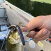 5" Bass Stick Worms - Image 8
