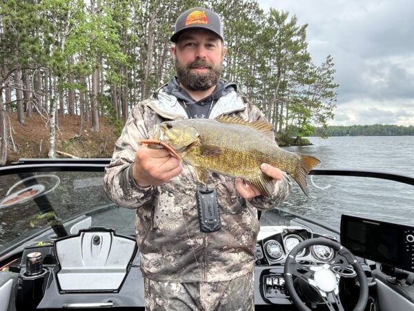 5" Bass Stick Worms - Image 12
