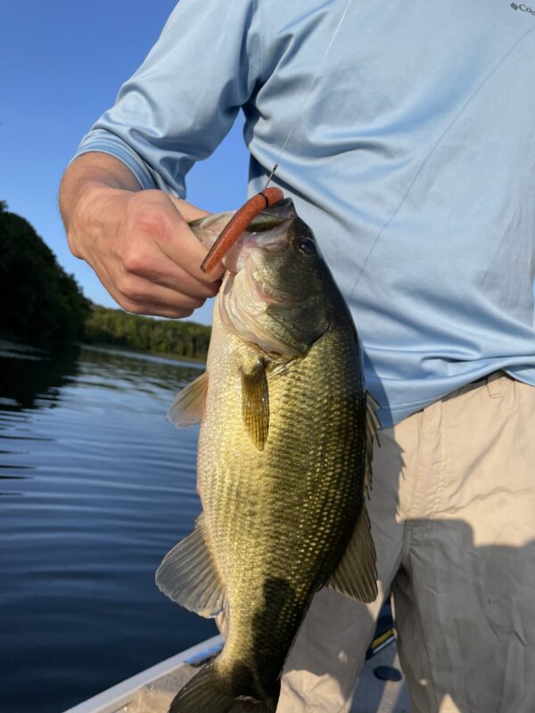 5" Bass Stick Worms - Image 15